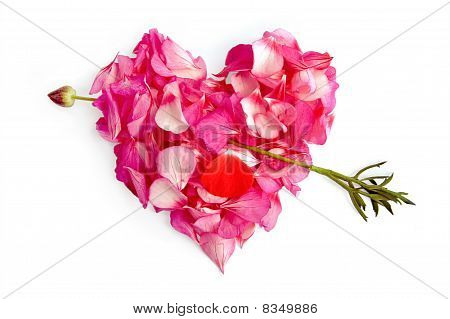 The Heart Of The Flower Petals With An Arrow