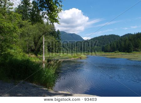 Fredliga kontemplation