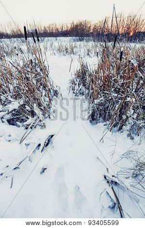 cold winter day