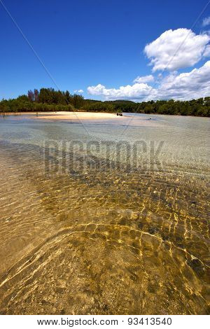 Pond Coastline River  In The  Blue Madagascar  Nosy Iranja