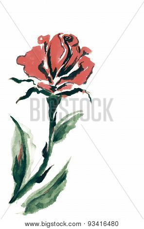 Watercolor, ink illustration. Flower Rose.