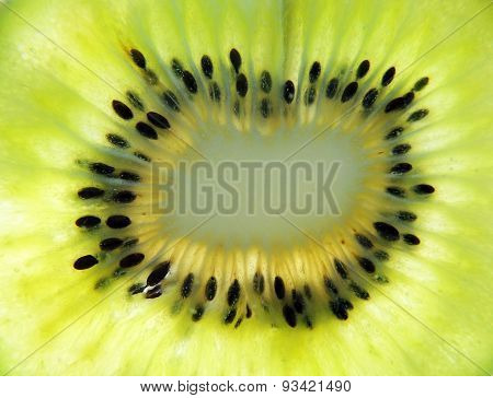 kiwi