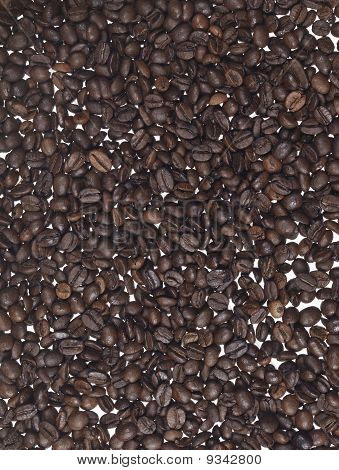semi di caffè