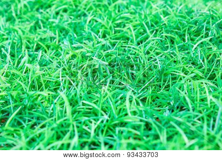 Artificial turf football field with a side view.