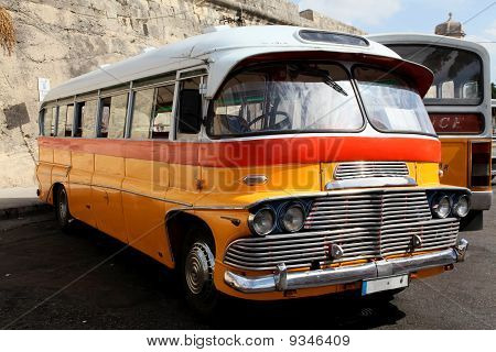 Maltese Bus