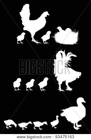 illustration with newborn and gosling silhouettes isolated on black background