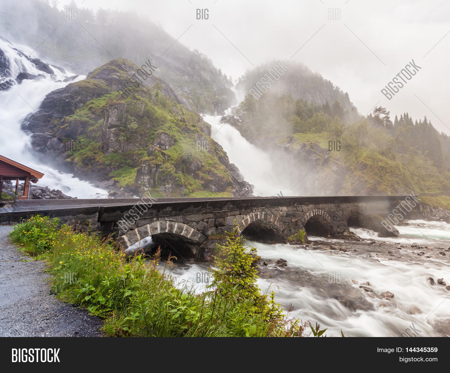 Image Preview