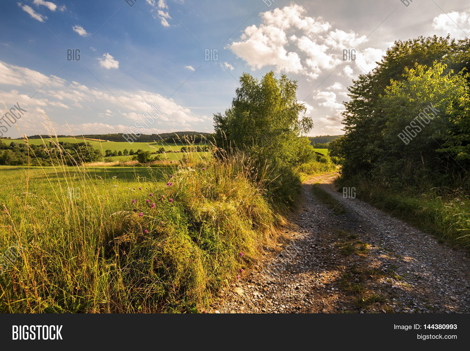 Image Preview