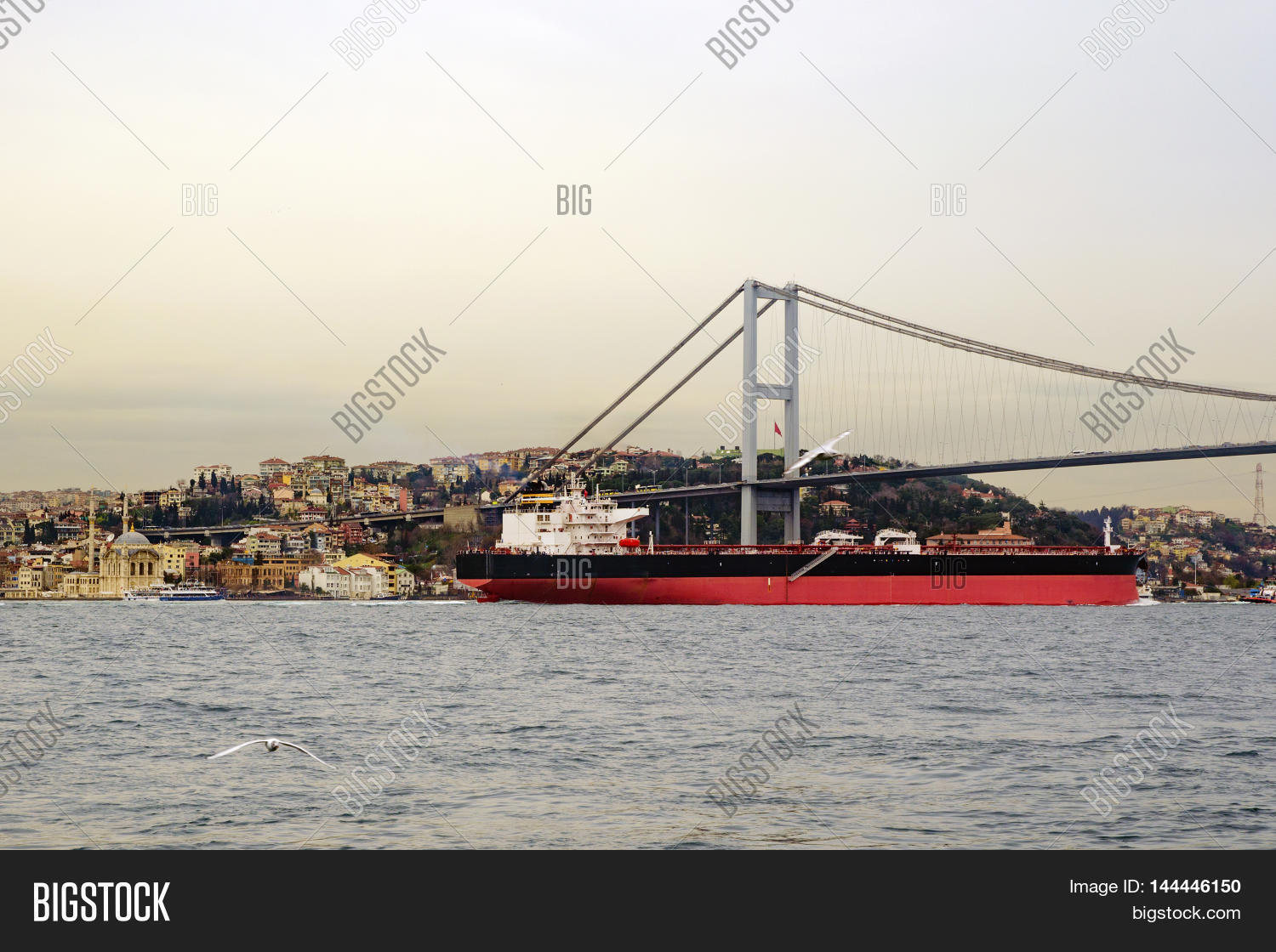 Image Preview