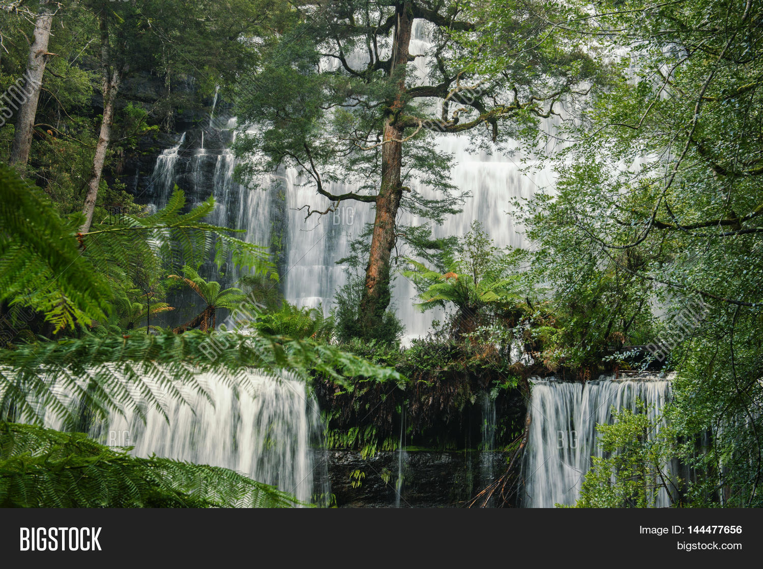Image Preview