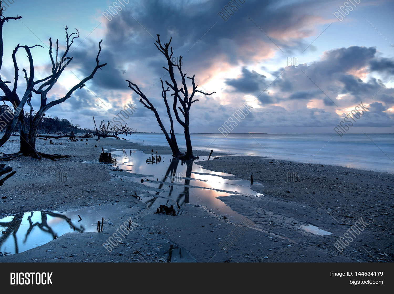 Oak Tree Submersed Image Photo Free Trial Stock Oak Tree Submersed Image Photo Free