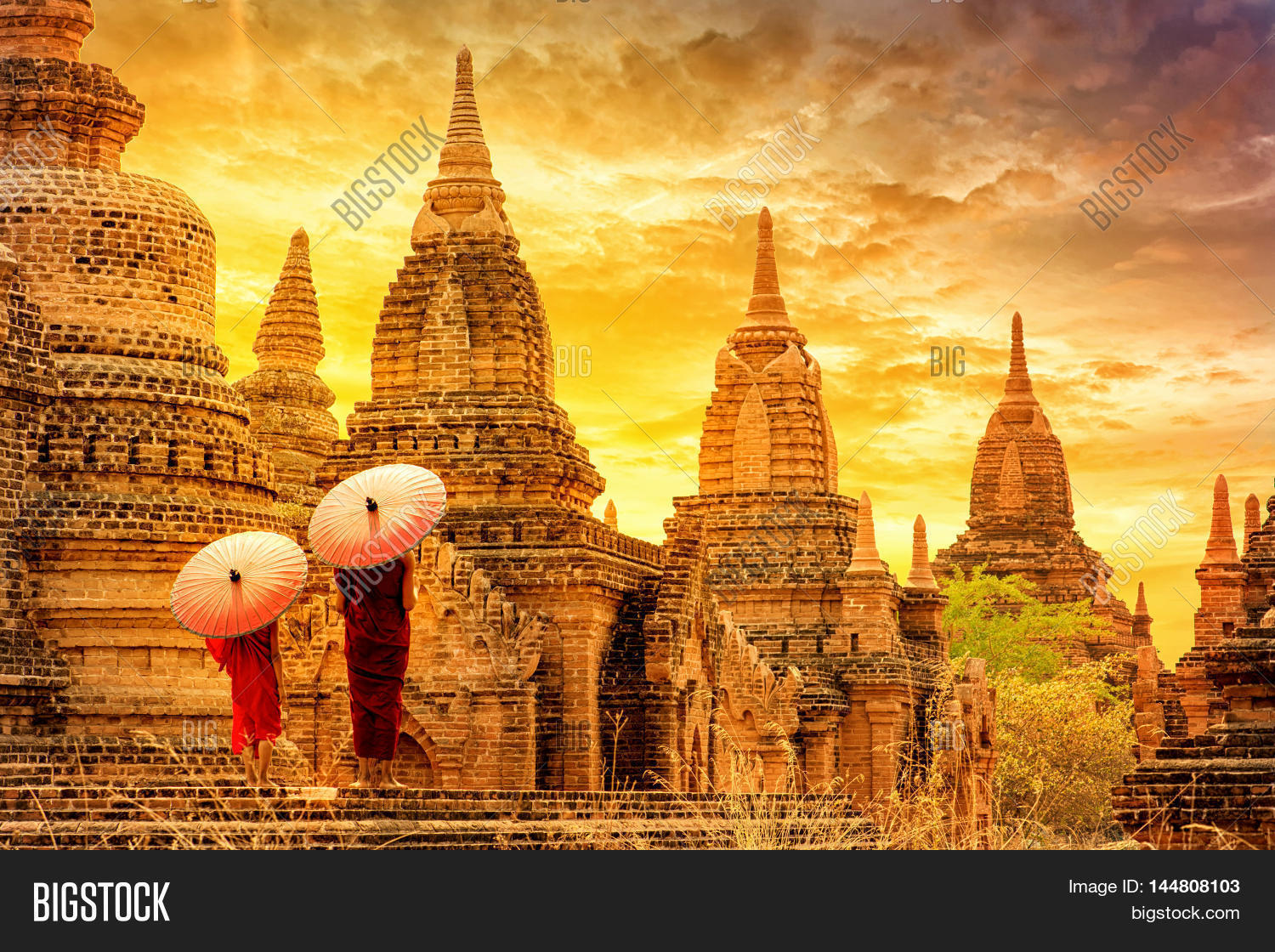 Image Preview