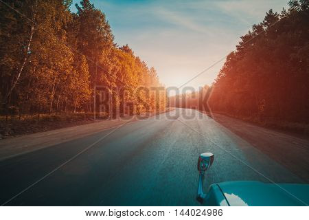 Car driving on an empty road thought wild forest on a sunset