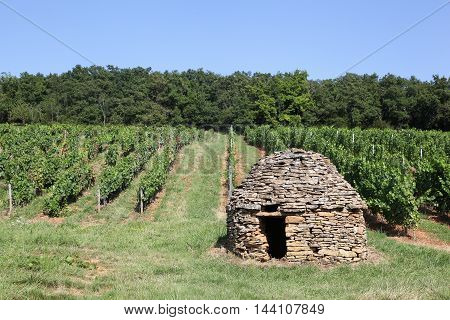 Old and typical stone hut in the vineyards of Beaujolais, France