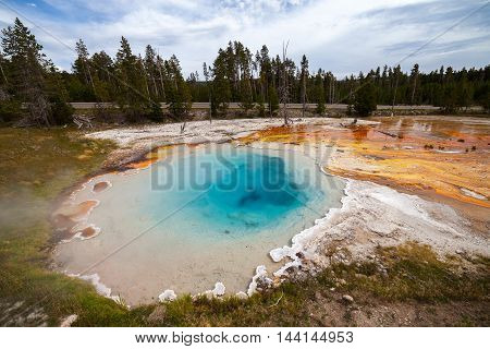Silex Spring, Fountain Paint Pot Area, Yellowstone National Park, Wyoming, USA