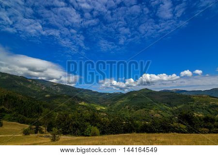 late summer mountain landscape. meadow on hill side with spruce forest under the blue sky with clouds