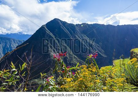 View Form Machu Pichu