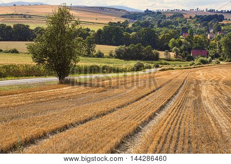 Village in South Poland in Sudety Mountains