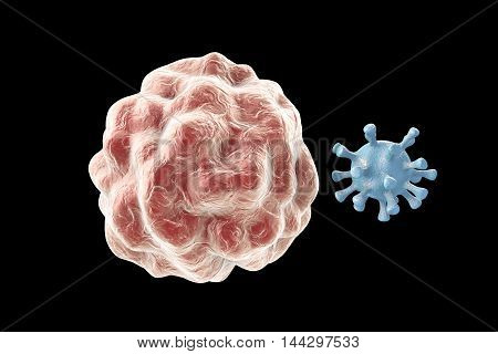 White blood cell engulfing a virus, 3D illustration