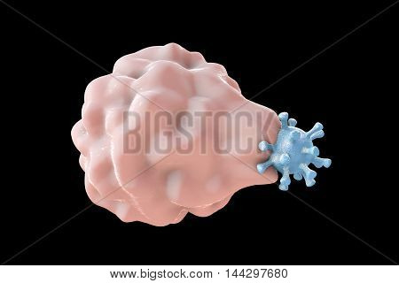 White blood cell engulfing a virus, 3D illustration