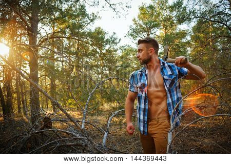 Lumberjack with an ax. Woodcutter in unbuttoned shirt in the coniferous forest. Felling trees. Logging. Manual labor. Brutal man. Sunset