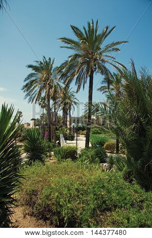 Park in the old city of Jaffa in Tel Aviv
