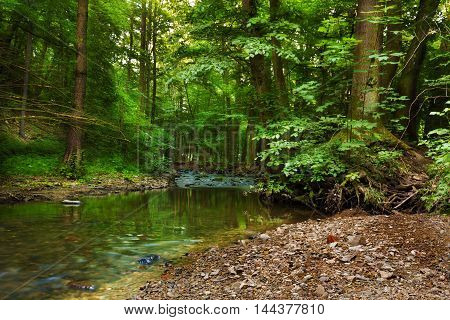 Calm river stream Bela in the valley Pilske udoli. Moravian landscape.