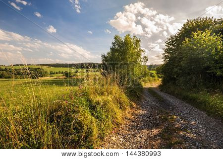 Dirt road and meadow. Moravian landscape Makov.