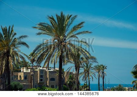 Park in the old city of Jaffa in Tel Aviv