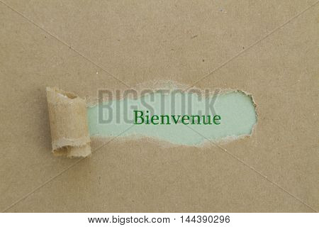 French Word Bienvenue (Welcome) written under torn paper.