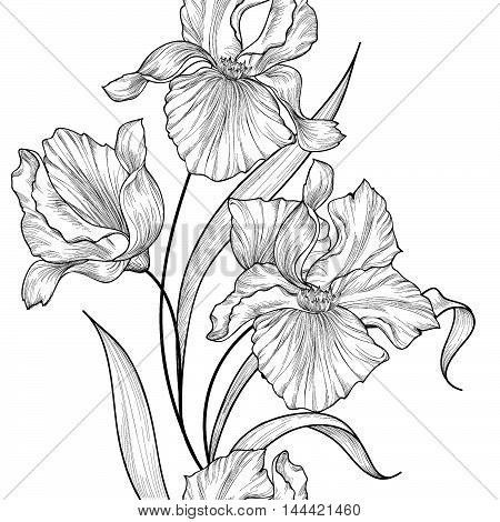 Floral seamless vertical decorative border. Flower iris etching background. Abstract floral ornamental pattern with flowers. Stylish spring flourish garden. Greeting card with fantastic flowers motif