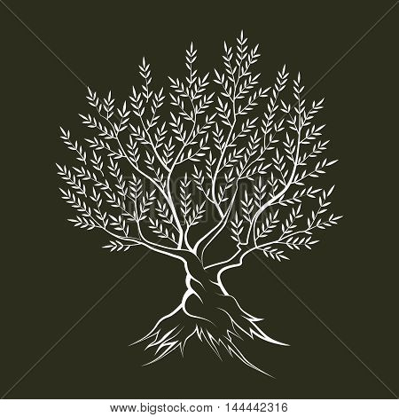 Olive tree outline silhouette icon isolated on dark background