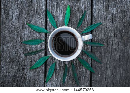 Coffee cup on green leaves background Flat lay. textured