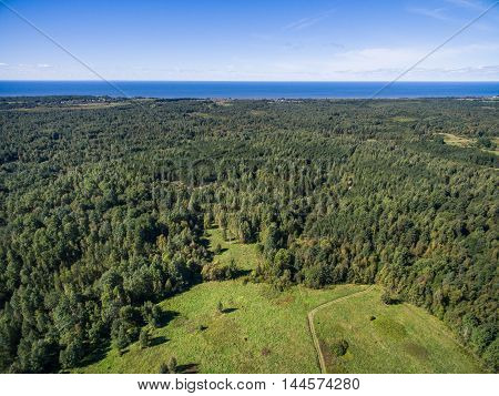 Aerial view of green field with forest and Chudskoe lake in Pskov region Russia, at summer time