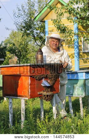 portrait of a beekeeper on apiary at hive with bees.