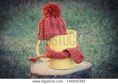 Vintage Photo, Cup Of Beverage With Woolen Cap Wrapped Scarf On Wooden Stump