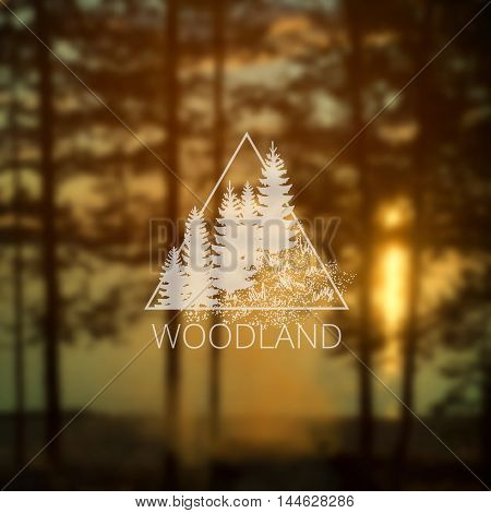 Hipster triangle logo with forest trees on blurry forest and lack background