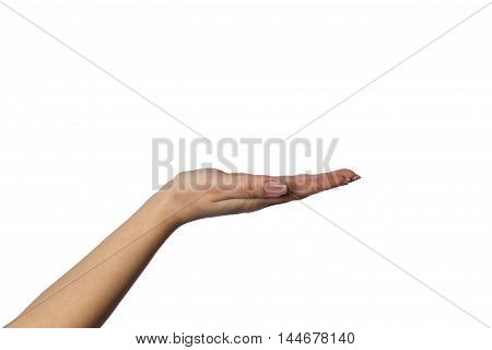 Closeup shot of a woman hand isolated on white background. Close up hand with the palm up receiving or holding something. Girl's hand open.