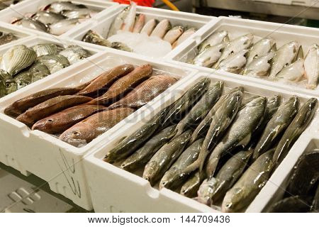 Fish at Wanhua fish market in Taipei