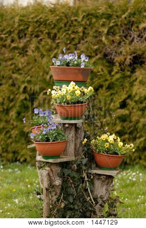 Blomster trappe