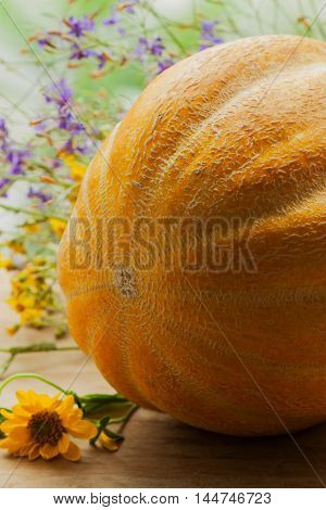 One melon, plant of the gourd family, with yellow and purple wildflowers on a rustic wooden table