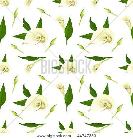 Floral vector pattern with callas. Realistic style on a white background.