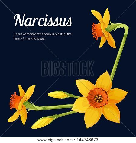 Vector illustration of a flower, made in a realistic style.