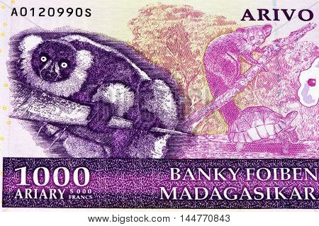 1000 Malagasy ariary bank note of Madagascar. Malagasy ariary is the national currency of Madagascar
