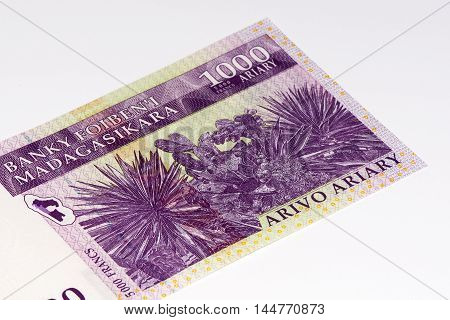 1000 Malagasy ariary bank note of Madagascar. Malagasy ariary is the national currency of Madagascar