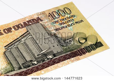 1000 Ugandan shillings bank note. Ugandan shilling is the national currency of Uganda