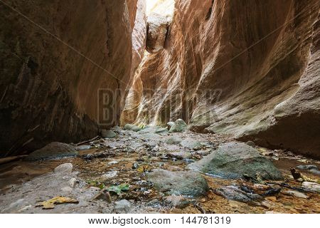 Avakas Gorge. Paphos District, Cyprus