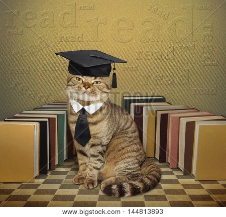 A clever scottish straight cat is sitting next to a lot of books.