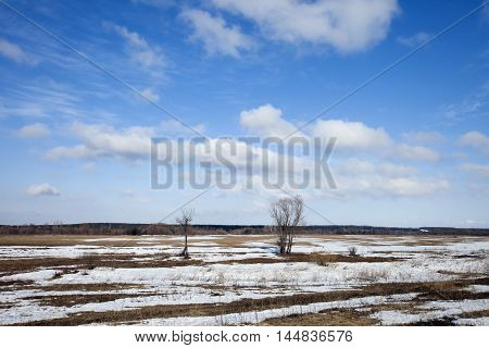 In The Early Spring