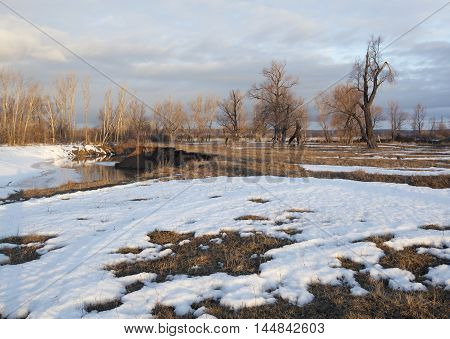 In The Early Spring